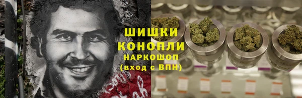 крисы Балахна