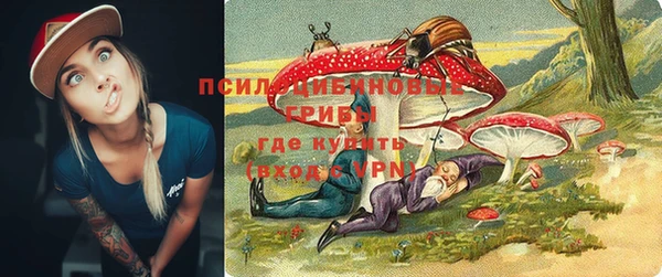 PSILOCYBIN Баксан