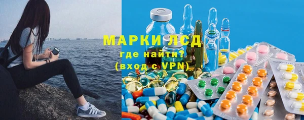 PSILOCYBIN Баксан