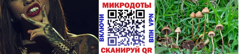 Галлюциногенные грибы Cubensis  купить наркотик  Кумертау 